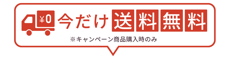 今だけ送料無料